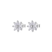 Pendientes Rosato Mujer Gaia in Plata RZGA72